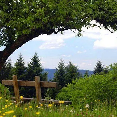 Ferienwohnung-waldwinkel Appartement Oberwolfach