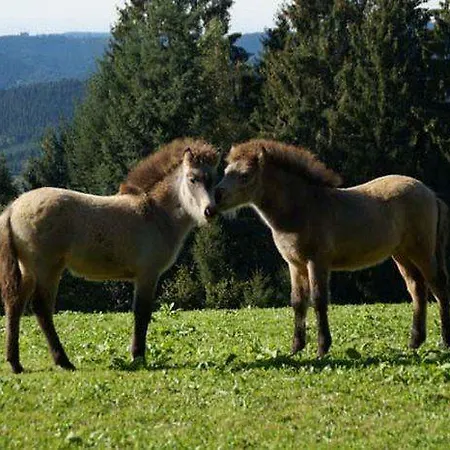 Ferienwohnung-waldwinkel Appartement Oberwolfach